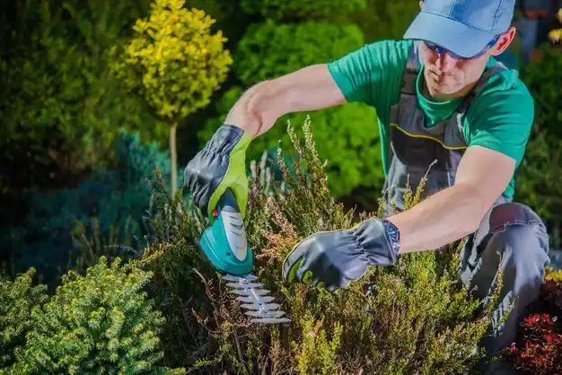 landscaping services Gladwin